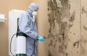 Best Comprehensive Air Testing for Mold Contaminants  in Decatur, TX